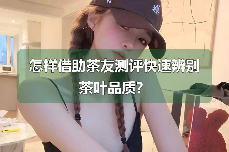 怎样借助茶友测评快速辨别茶叶品质？